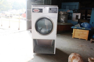 35lb Electric Dryer
